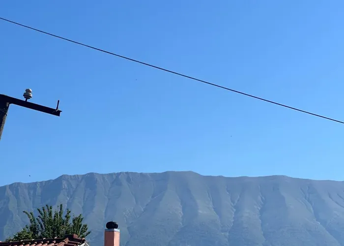 Flower Terrace Lejlighed